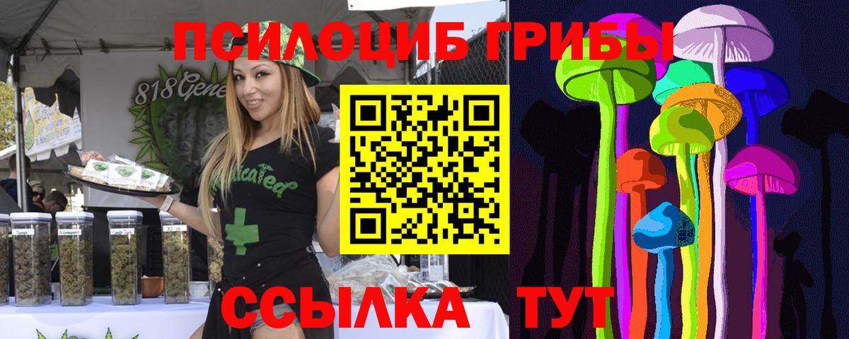 Галлюциногенные грибы мухоморы  Вход с VPN  Черногорск 
